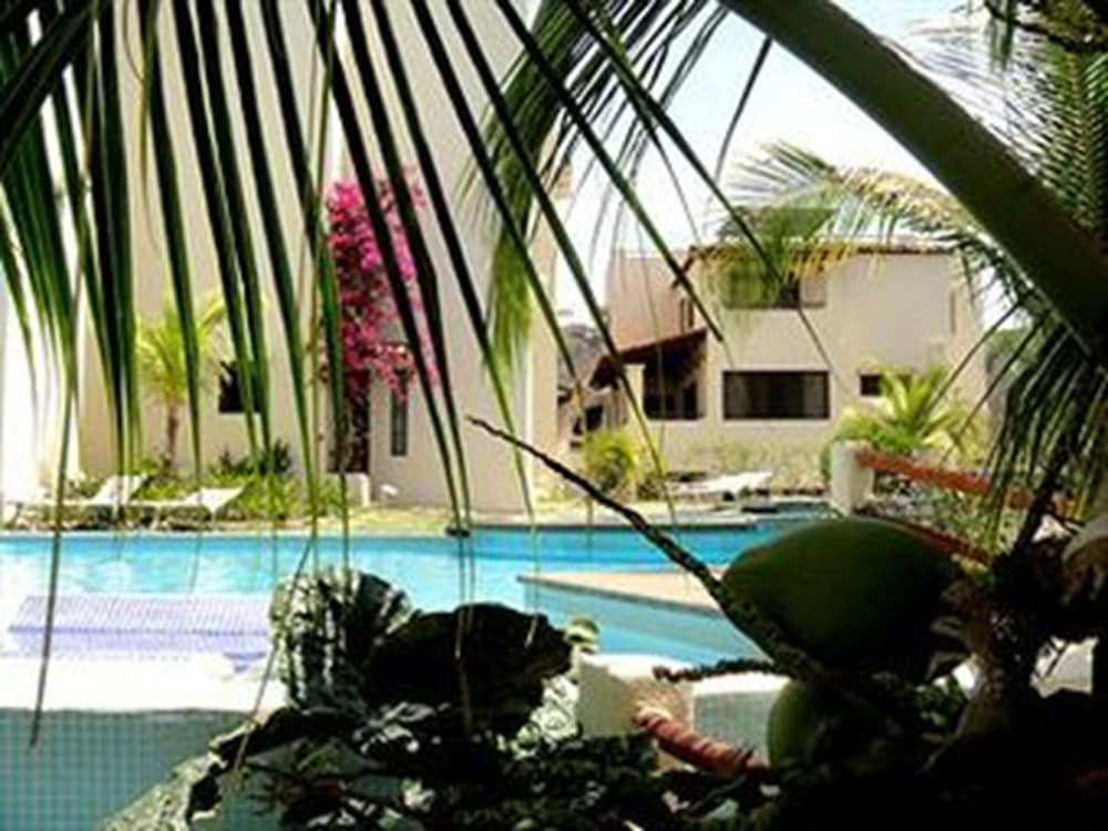 Tropical Gardens