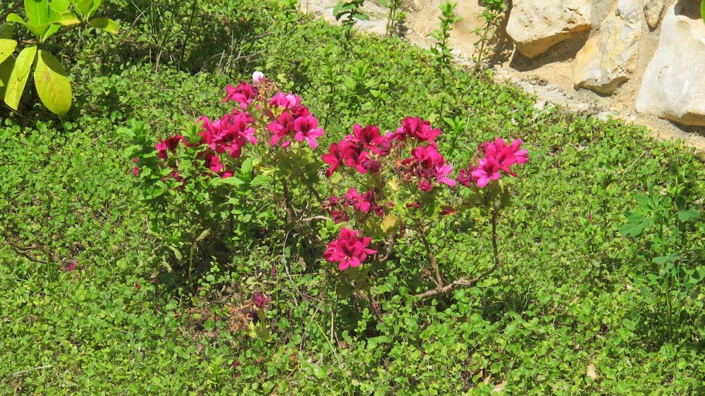 Photo 25