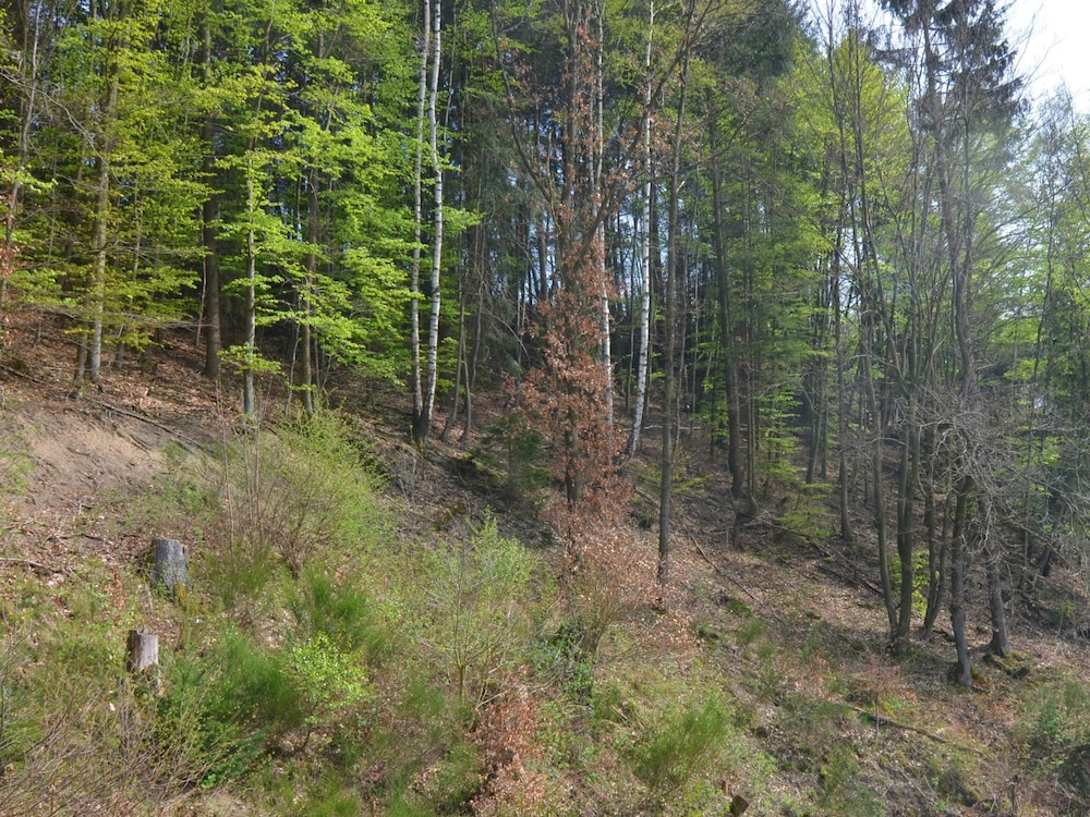 Photo 40