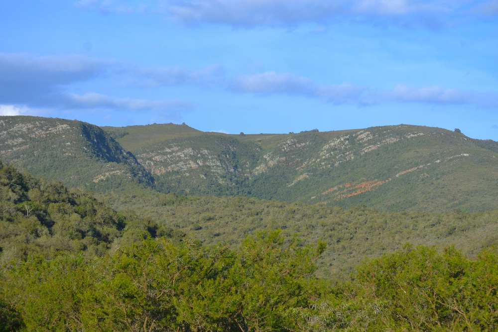 Addo Bush Palace Private Reserve