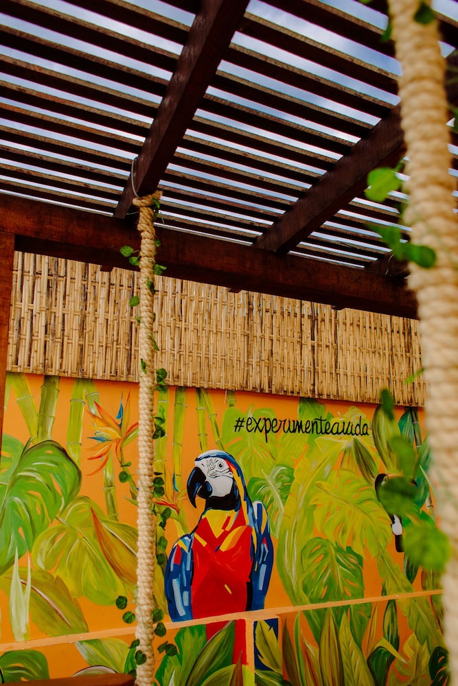 Bamboo Búzios Hostel