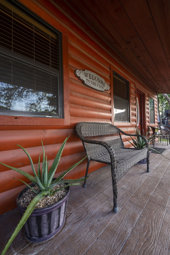 Waco Vacations - Pet Friendly Cabin 4 - 15 Minutes From Magnolia and Baylor - Property Image 5