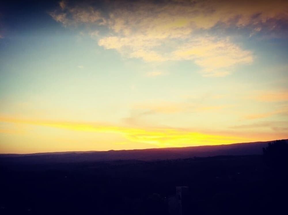 The Gringos
