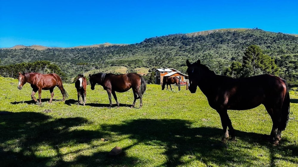 Villa das Araucarias - Urubici - SC