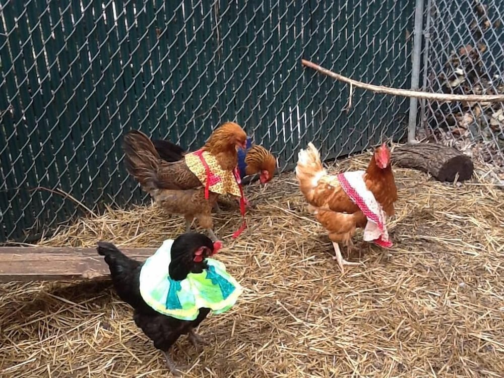 Milwaukee Vacations - Manderley Bed and Breakfast - Property Image 24