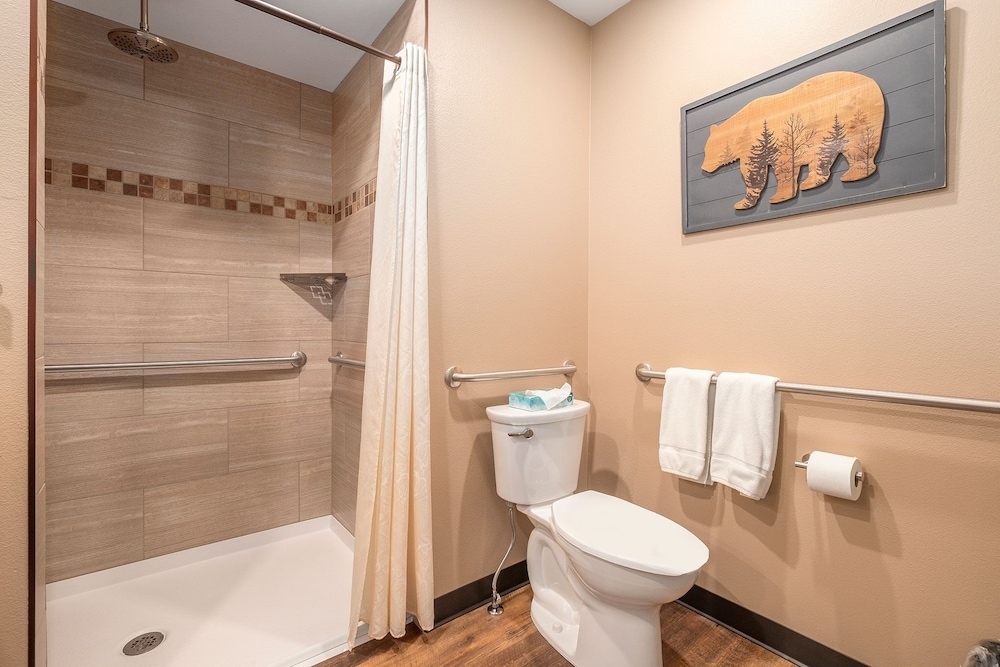 Solitude Bear Room Ada 103 - Estes Park 1 Bedroom Studio by RedAwning - Property Image 13