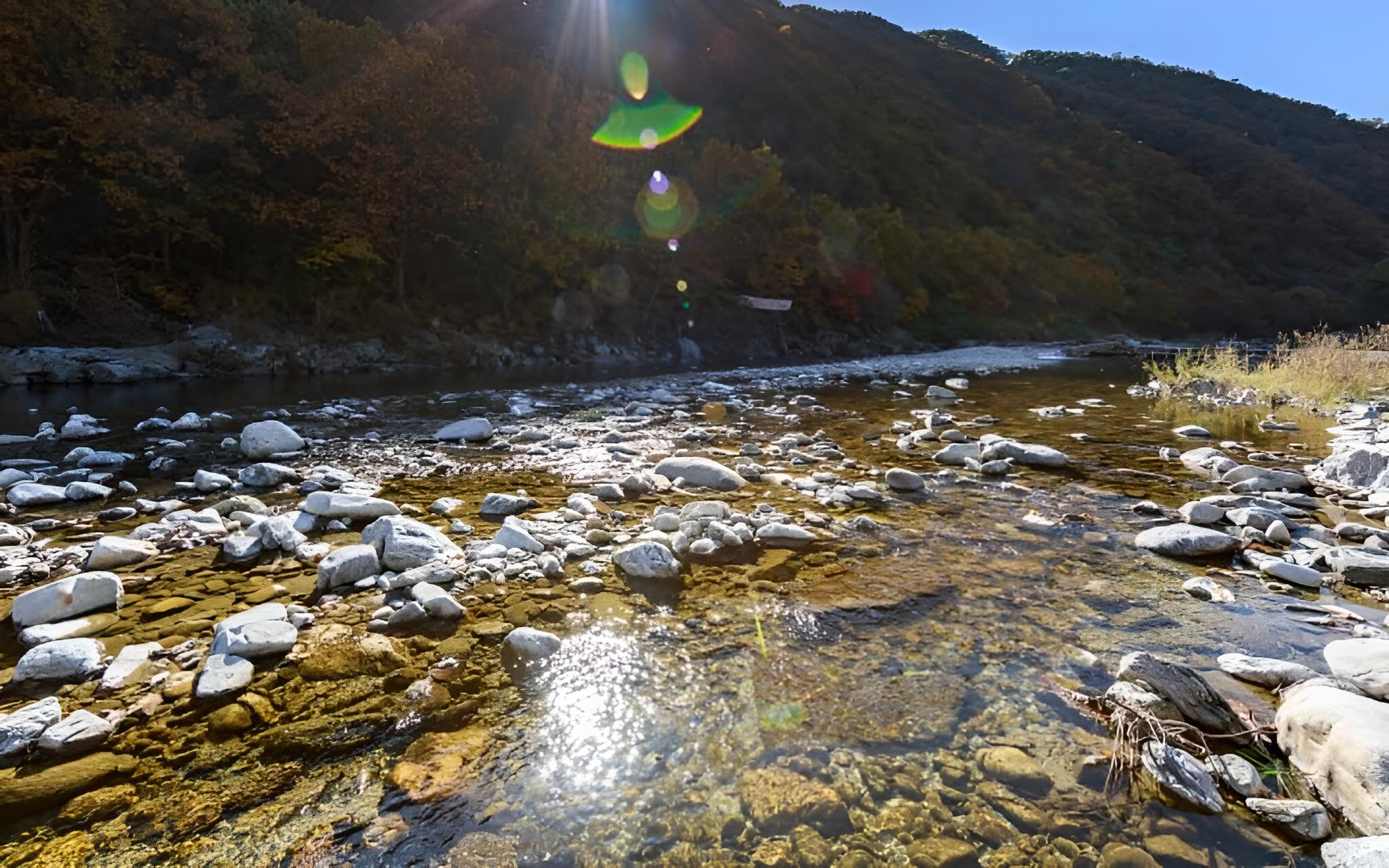 Gapyeong Rich House Pension