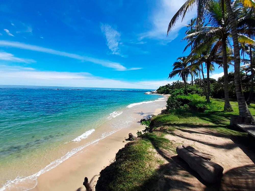 Magic Greeen Tayrona