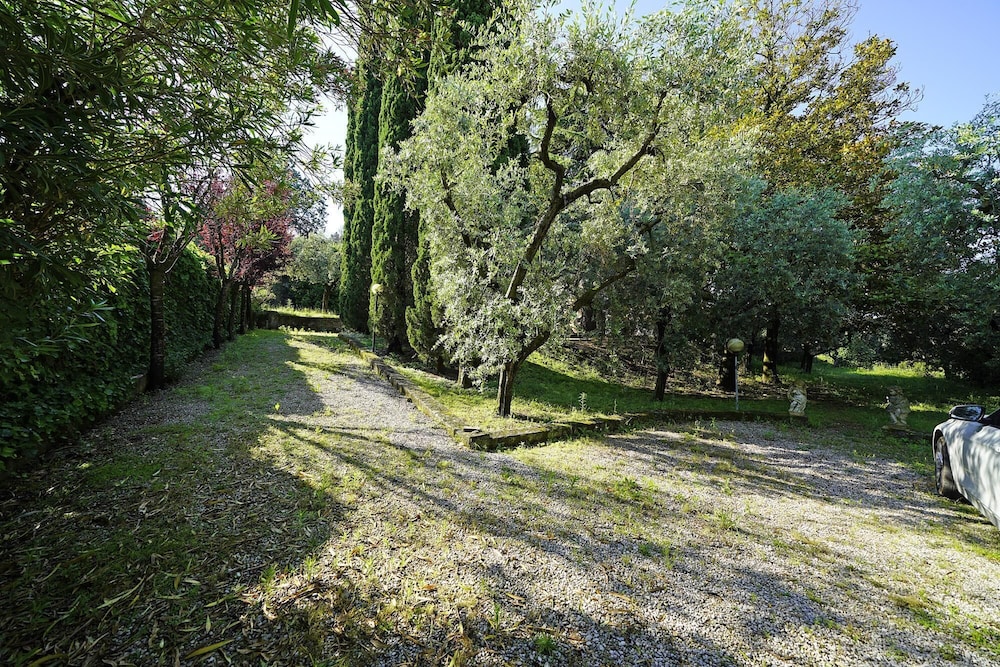 Photo 35