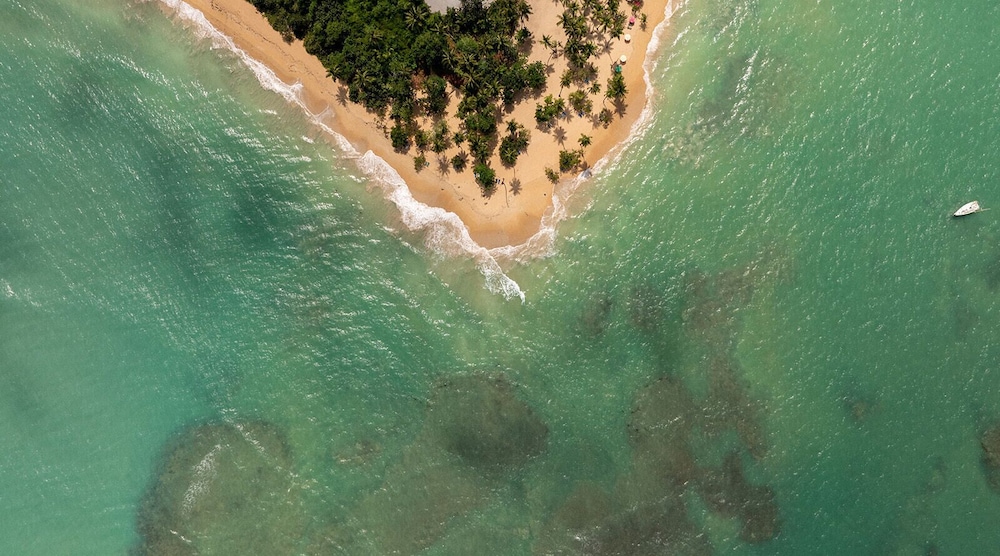 Armonía de Las Terrenas
