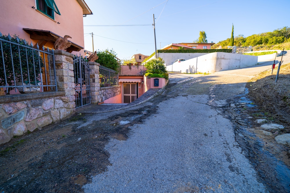 Photo 16