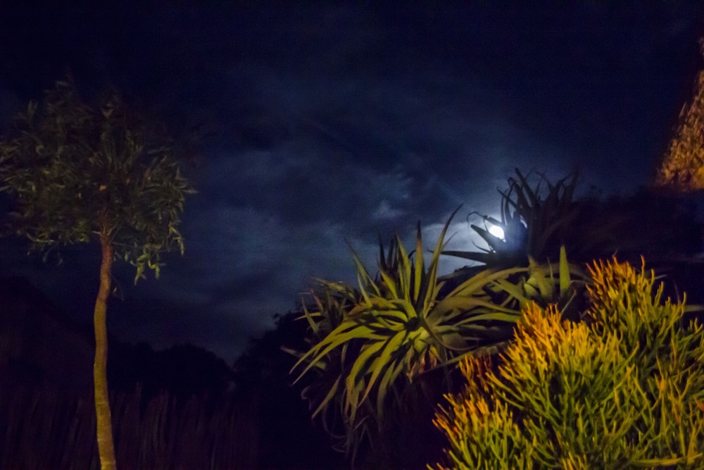 Elephants Lodge - Bellevue Forest Reserve