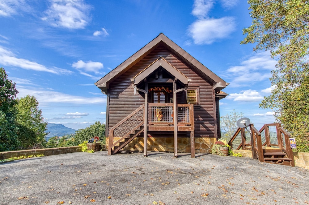 Copper Bear view 5