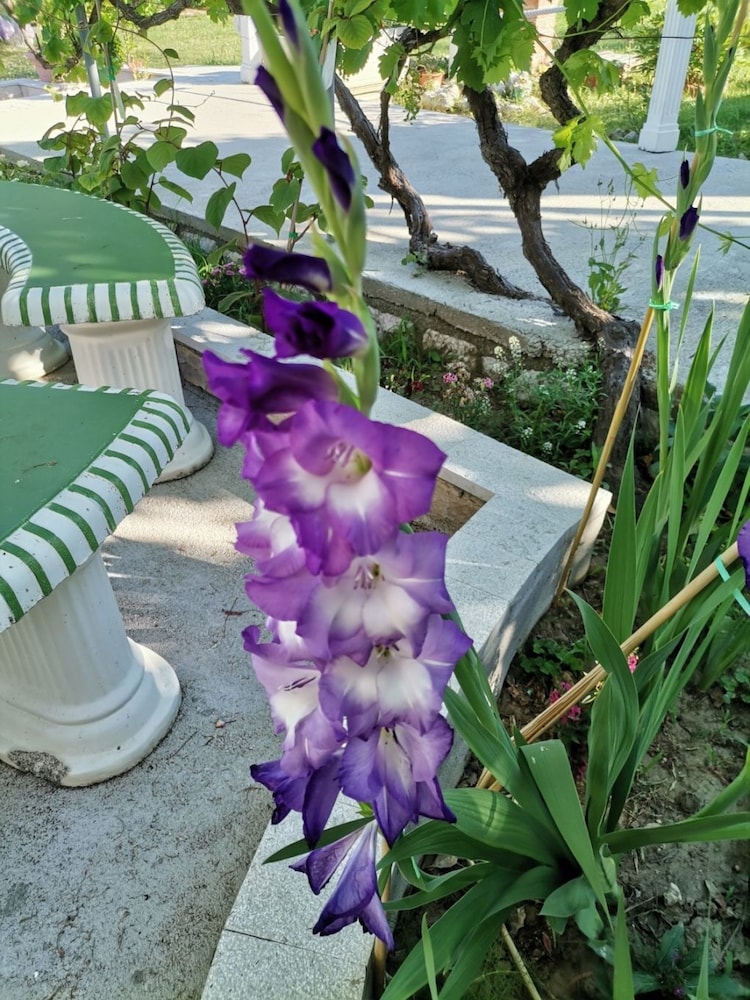 Photo 20