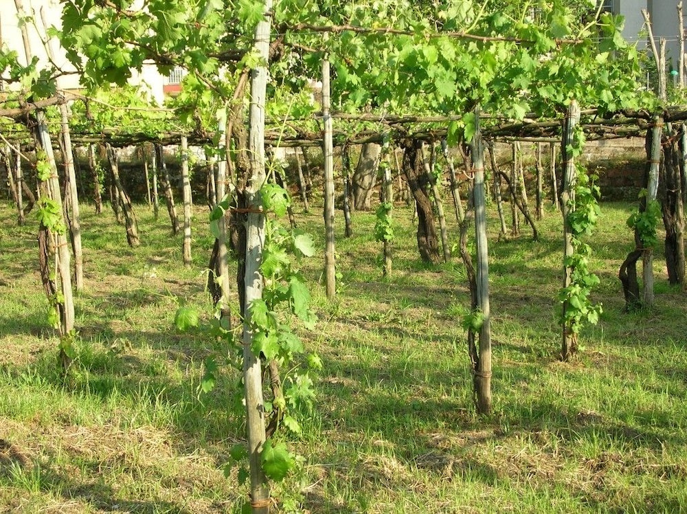 Casa Scola Agriturismo