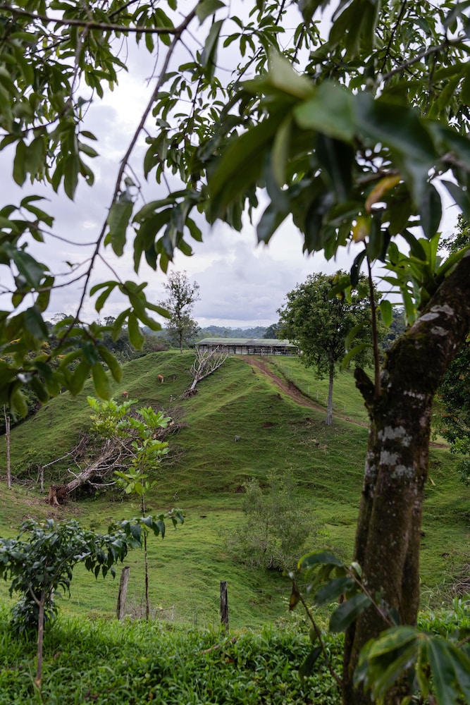 La Finca Azul