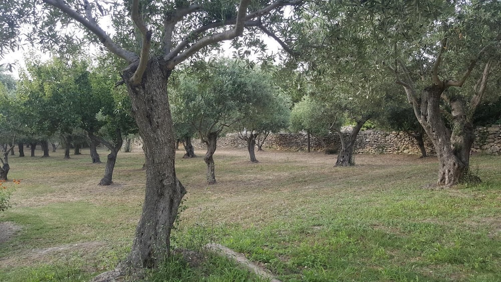 Serra E Mesu