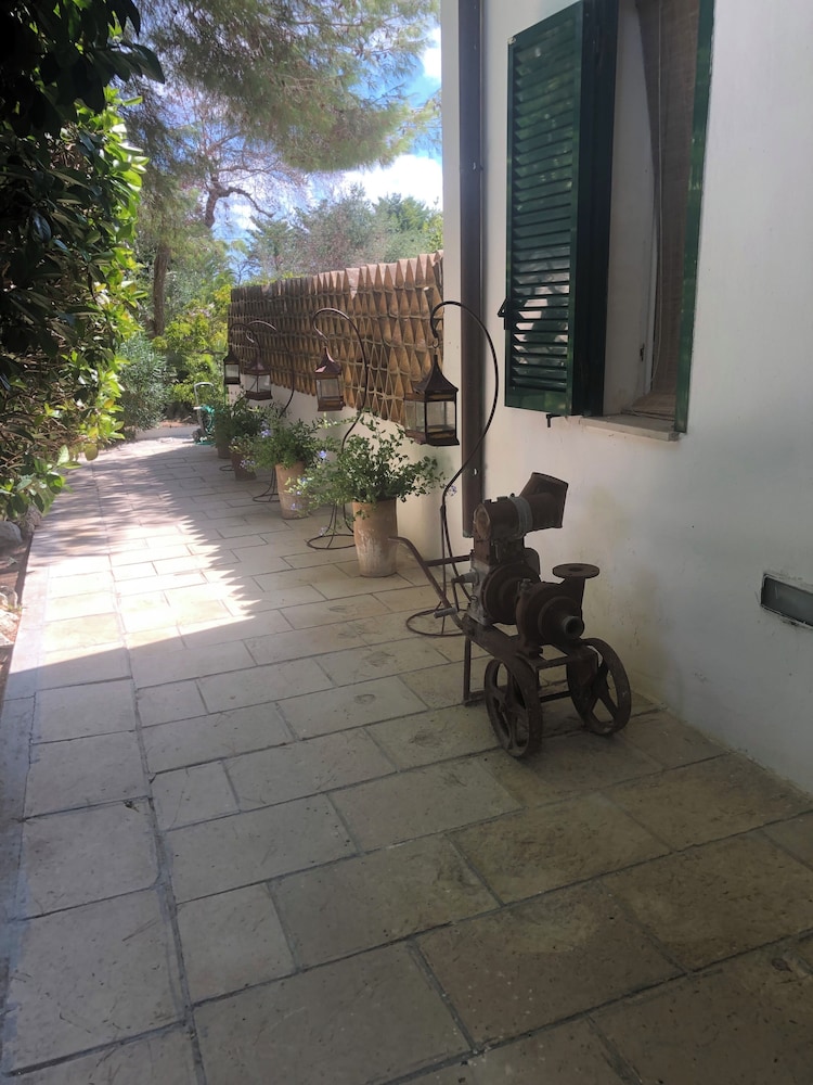 Tenuta Belvedere