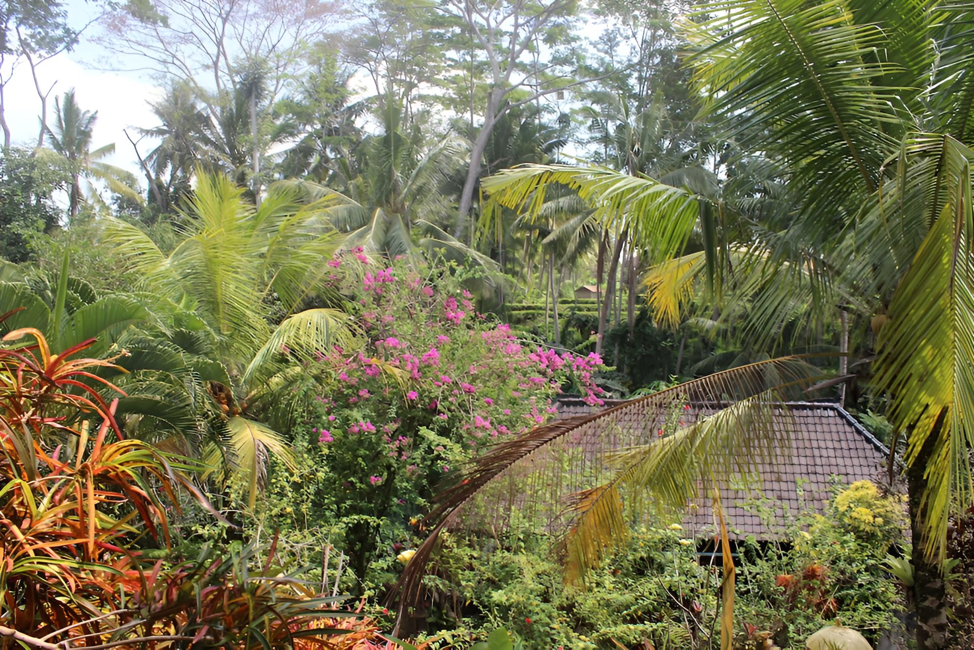 Gusti's Garden Bungalows