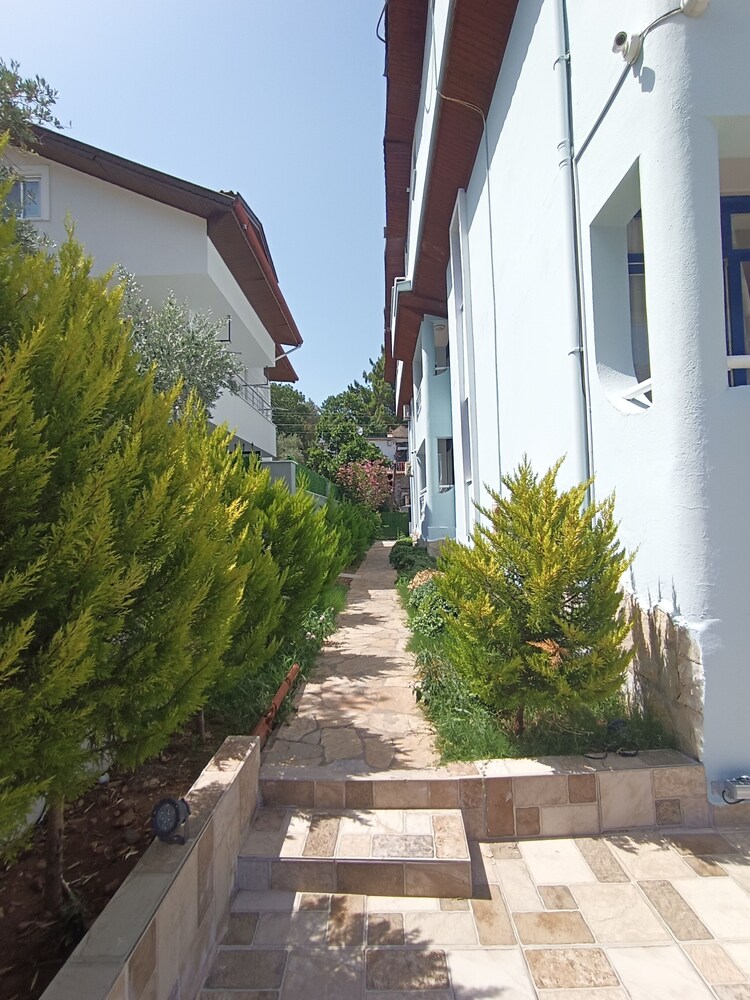 Photo 7
