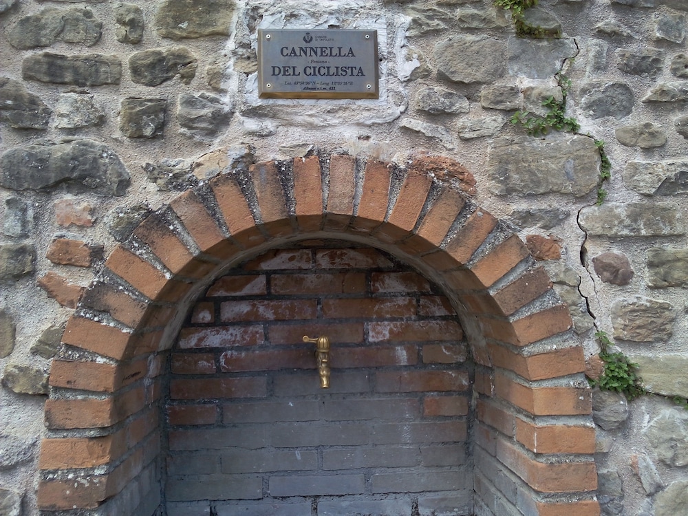 IL POGGETTO DI MERLI SILVIA & C. SAS