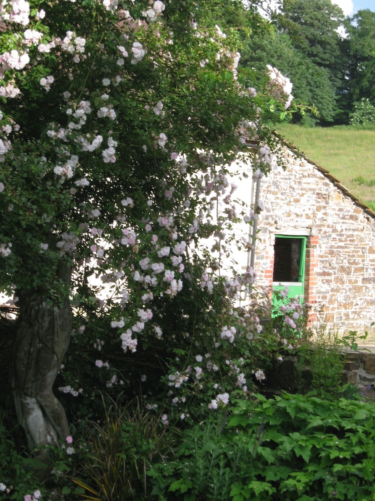 Hollamoor Farm B&B