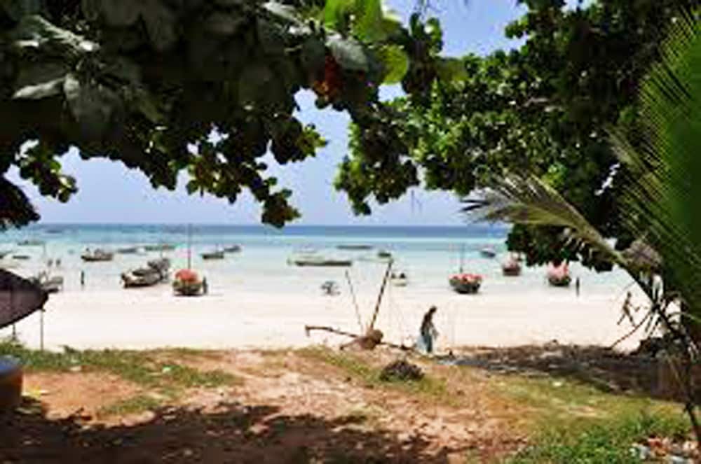 Tuna Lodge