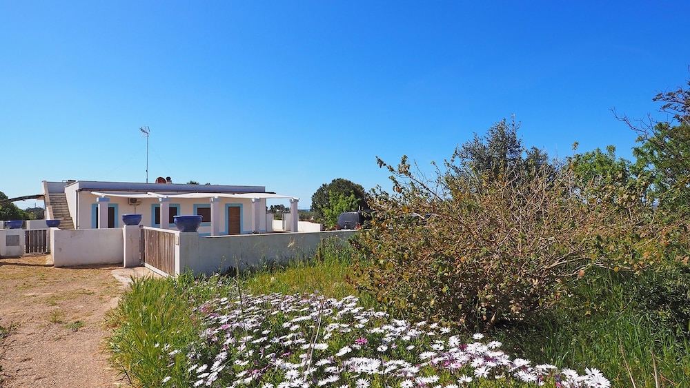 Villetta Certosina 1 - Villa Just a few Meters From the sea