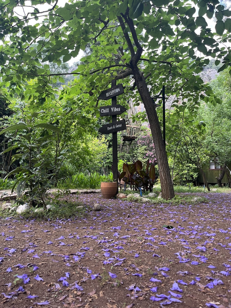 Kibala Otel - Butik Sınıf - Image 84