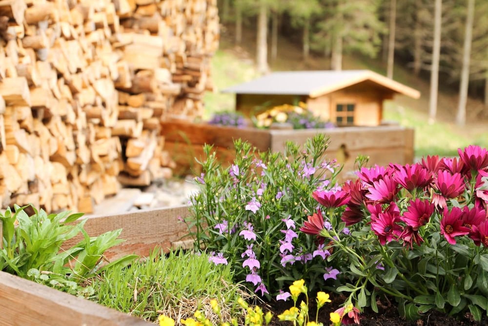 Chalet nel Doch