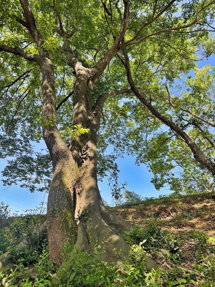 Jukrokjungsa hanokstay