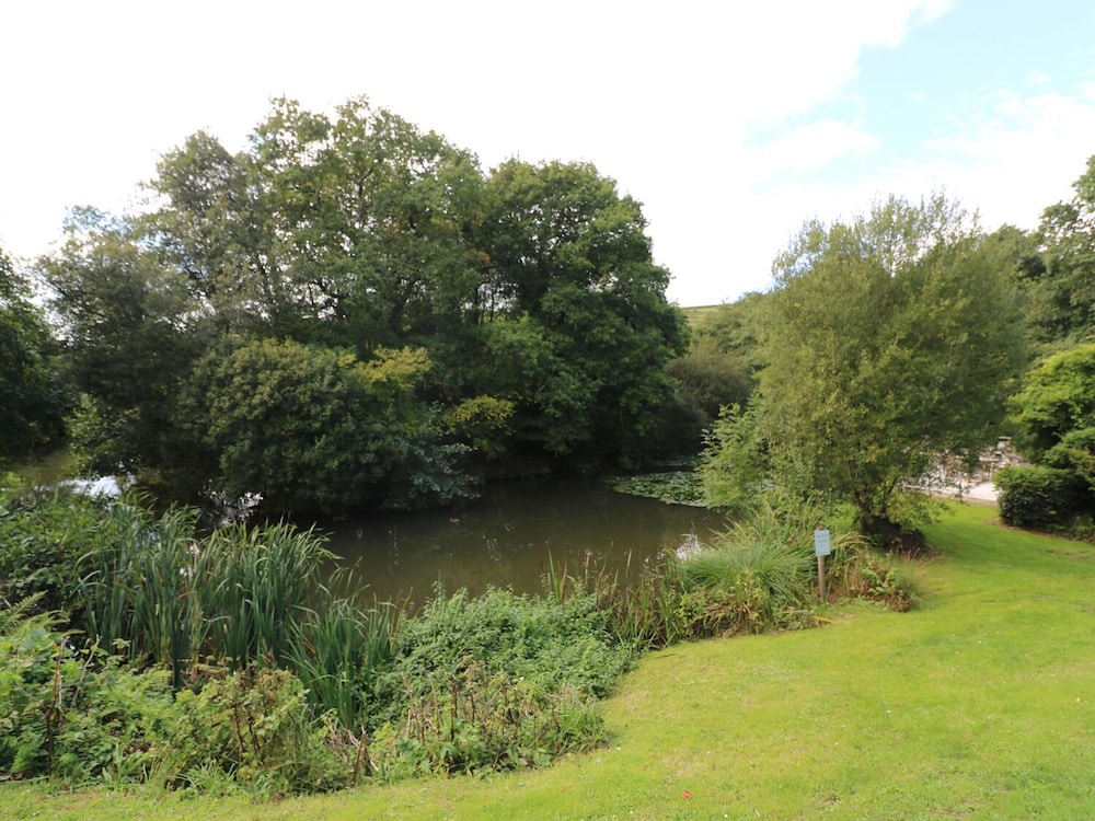 6 Streamside view 3