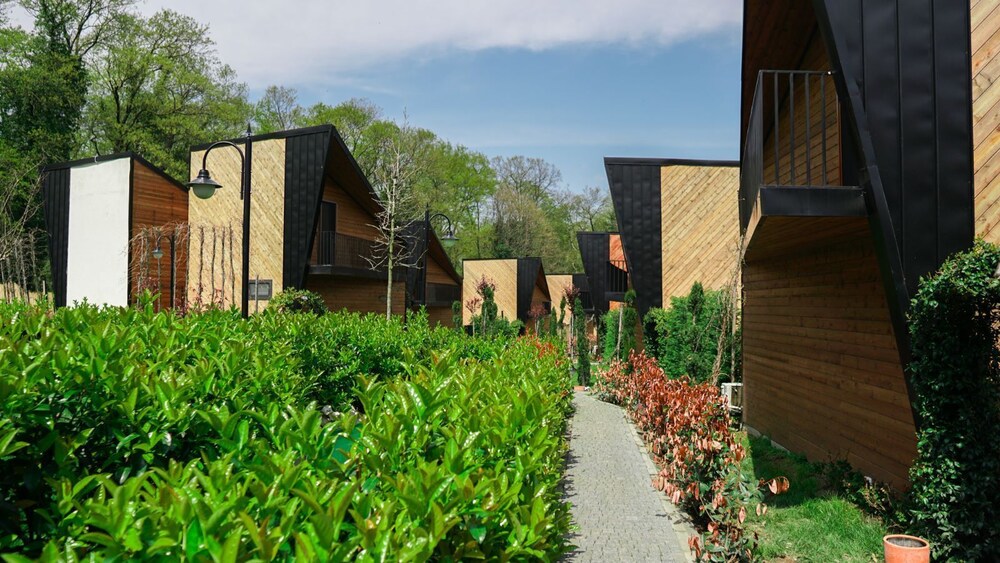 Backyard Sapanca - Property Image 5