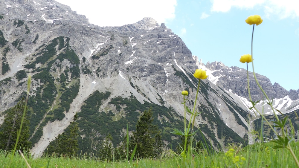 Photo 31
