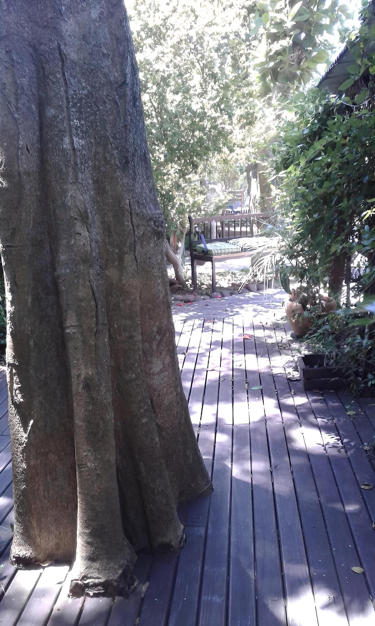 Recanto Gaia