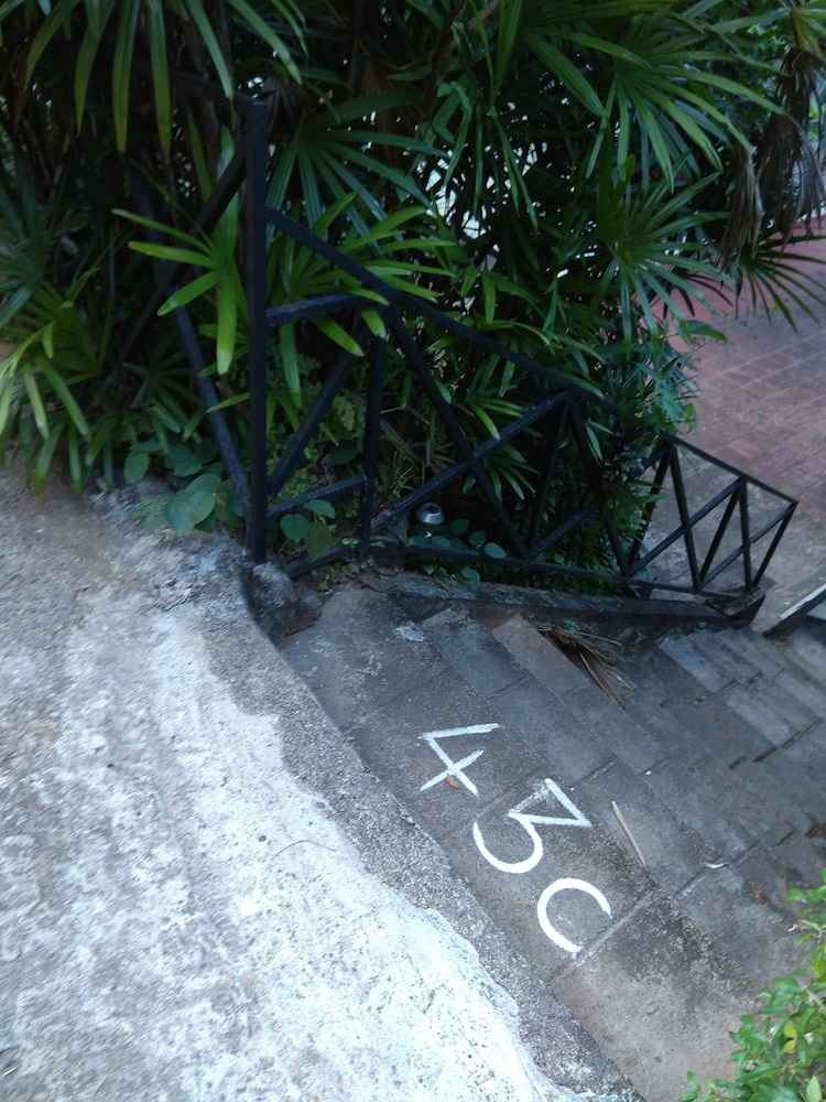 Photo 29