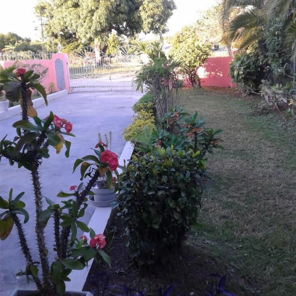 Photo 33