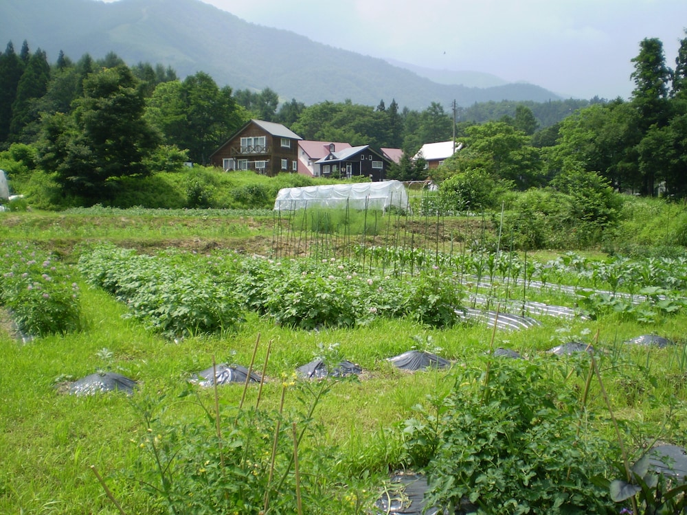Pension Chauchau