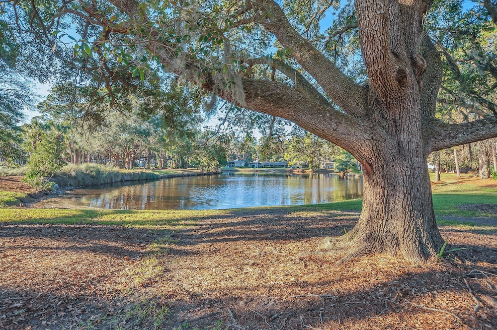 64 Fairway Lane at The Sea Pines Resort view 4