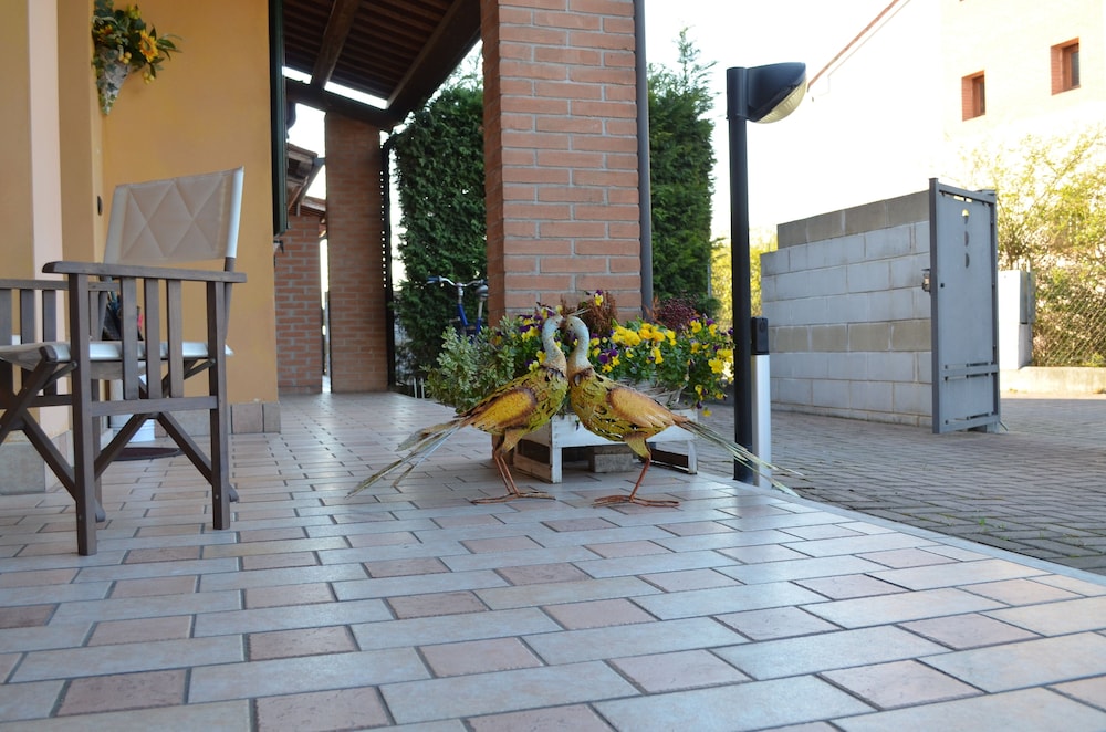 Photo 35