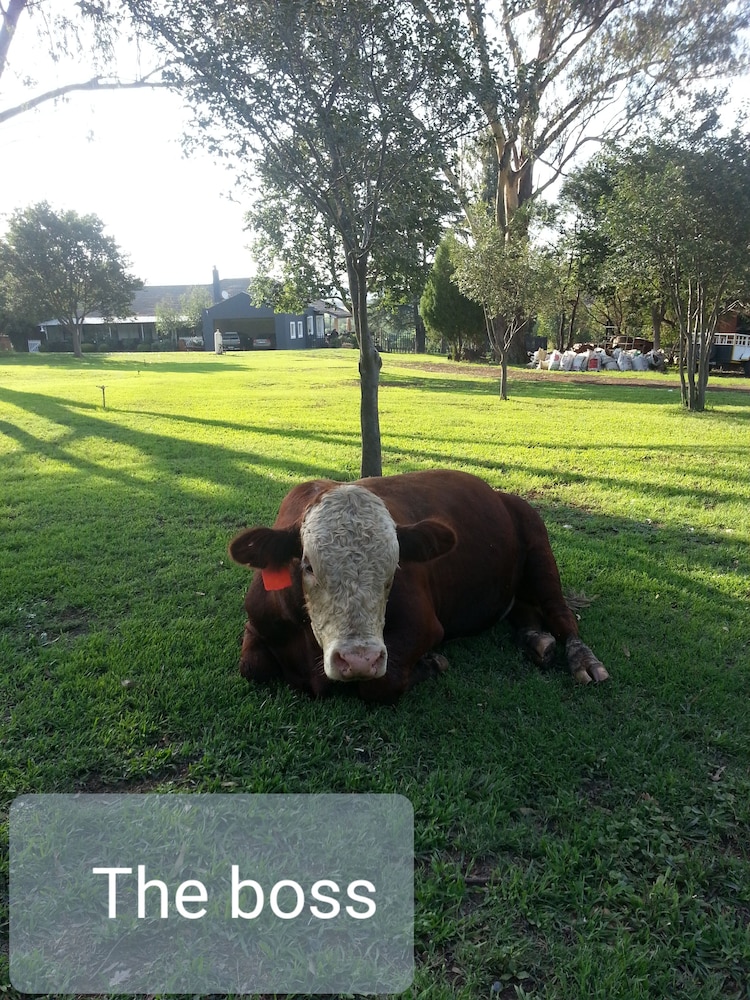 Photo 48