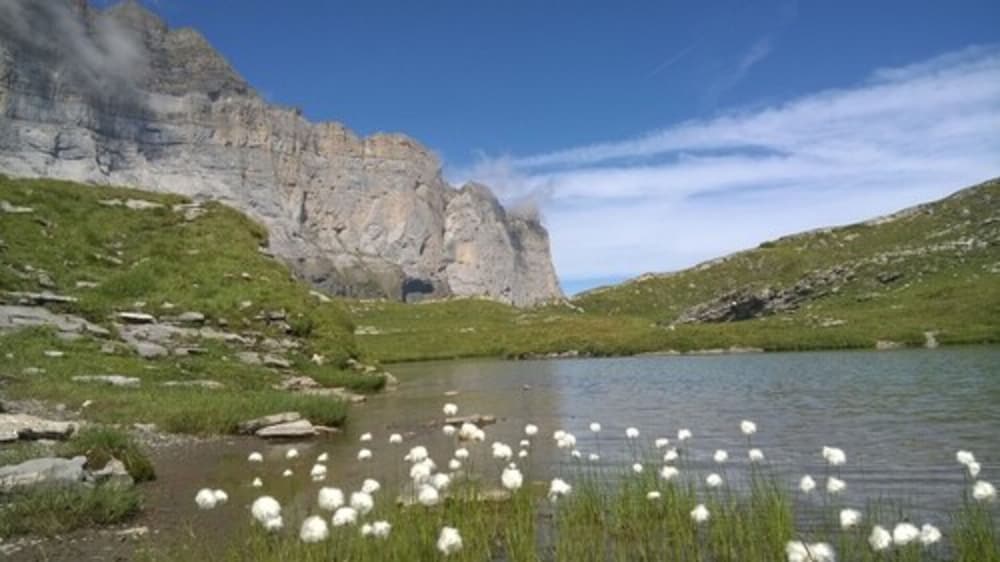 Photo 29