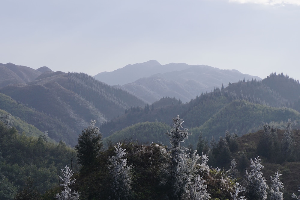 Longji Rice Terraces Hostel