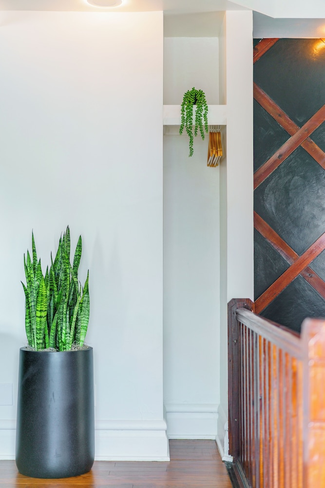 Jungle House Boutique Suites – Short North & Convention Center