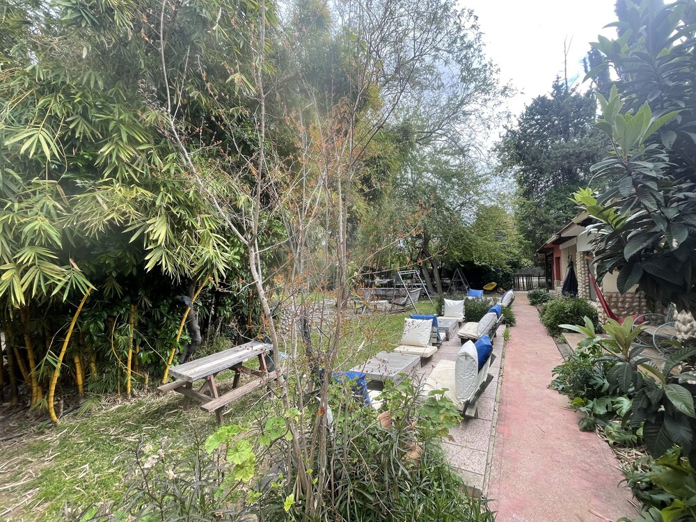 Photo 49