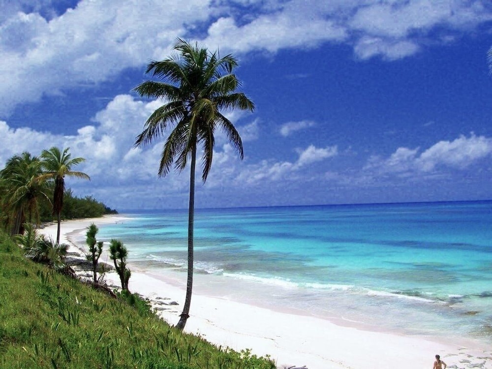 On The Dune - Beachfront Cottage With 50 Mile Ocean View, Pool 2 Bedroom Villa