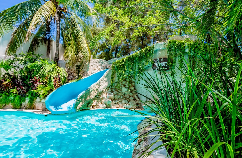 Oasis Palm - All Inclusive