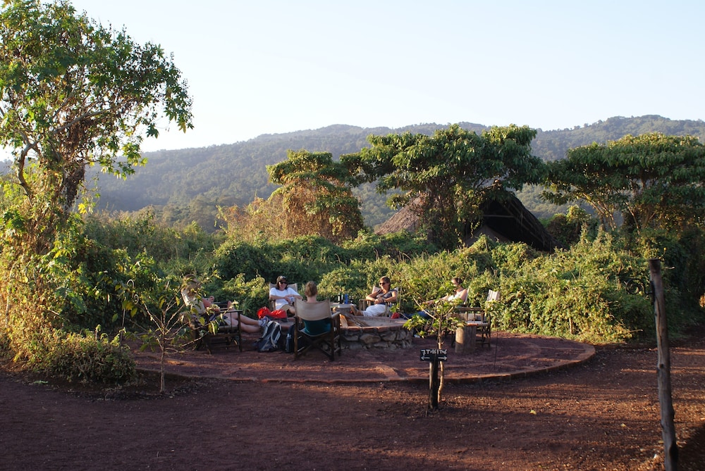 Crater Forest Tented Lodge view 3
