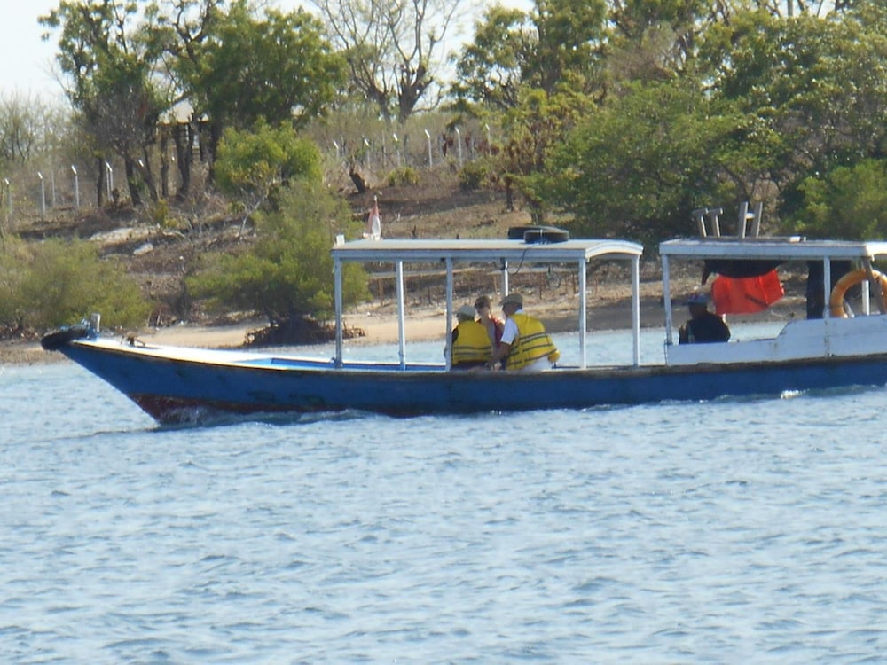 The Local Menjangan
