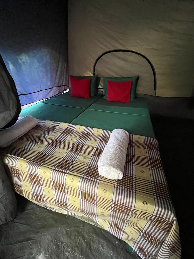 Wild Paradise Camp